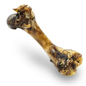 Prírodná sušená šunková kosť 20 cm / 280 g